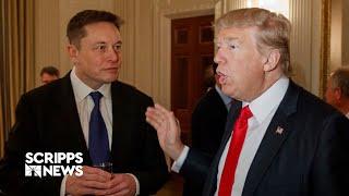 Trump proposes government efficiency commission led by Elon Musk