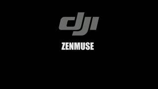 DJI ZENMUSE X7 VS X5S