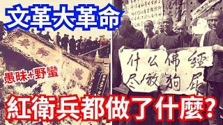 文化大革命，瘋狂的紅衛兵都做了什麼?  #民族浩劫 #破四舊