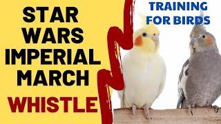 STAR WARS IMPERIAL MARCH with WHISTLE - Whistling Songs For Birds Cockatiels Parrots Budgies