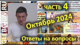 Ответы на вопросы. Октябрь 2024. Часть 4.