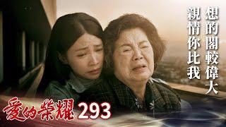 愛的榮耀 EP293 親情你比我想的閣較偉大｜Glory of Love