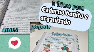 Dicas de Estudos #3 - 5 Dicas para um caderno bonito, organizado e com resumos eficientes + tour