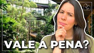 VALE A PENA CONTRATAR UM PAISAGISTA? | Saiba por que é fundamental ter um projeto paisagístico!