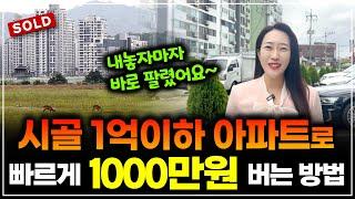 시골 1억 이하 소액 아파트로 '빠르게' 1000만원 버는 방법! 부동산 경매 왕초보 소액님에게 '직접' 들어보세요! l 월세모닝콜TV 세연쌤