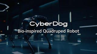 Xiaomi CyberDog | Showcase | Bio-inspired Quadruped Robot