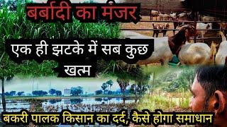 एक बकरी पालक का दर्द जो कोई नहीं दिखता | Goat farming in india | Goat farming in hindi #bakrifarming