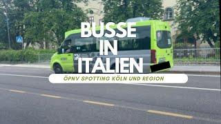 Busse in Italien (sehr gute Qualität)