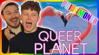 Queer Planet Trailer Reaction | The LGBTQ Animal Kingdom!