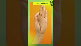 3 Simple Mudras for When You're Feel Stressed | Calm Your Mind | Mudras of Happiness #mudra #calm