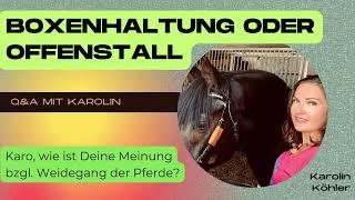 Boxenhaltung oder Offenstall: Soll ein Pferde auf die Weide? Wie wichtig ist der Weidegang?