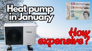 Heat Pump stats - January 2024 - how much did it cost to run?