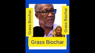 Sequestering Hope: The Power of Grass Biochar in Sustainable Agriculture