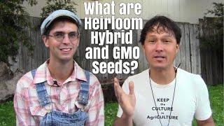 What are Heirloom, Hybrid and GMO Vegetable Seeds and More