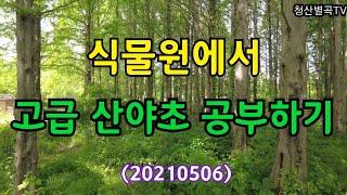 #식물원에서 고급산야초 공부하기(20210506)고본 상세설명