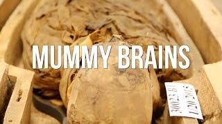 Mummy Brains