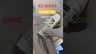 Icu Series Episode 5/30 Urine reagent Sticks #ketone #urineglucose #urinesticks #icunurse #icushorts