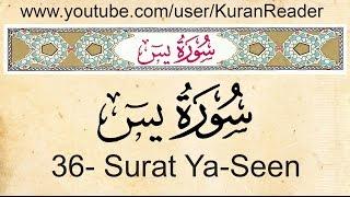 Quran 36   Ya Seen   Arabic to English Audio Translation and Transliteration by Meshari Al Afassi H