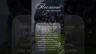 послание 