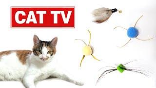 [CAT TV] videos for cats to watch5Hourscat toy