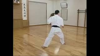 So-Kyokushin Kata - Pinan sono Ichi (1) 平安その1