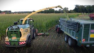 BIG X 1180! Maisernte 2024 !  Häckseln mit Fendt und JohnDeere Traktoren im Emsland! 1/2