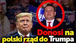 Donosiciel PiS. Dominik Tarczyński, wnuk szmalcownika donosi na Polski rząd Trumpowi.