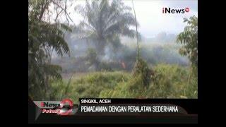 Kebakaran lahan gambut kembali terjadi di Singkil, Aceh - iNews Petang 29/01