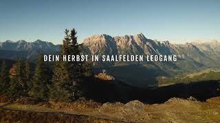 Dein Herbst in Saalfelden Leogang