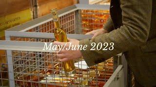 The Current State at Brännland Ice Cider - May/June 2023