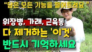 위장병, 가래, 근육통 다 제거하는 '이것' 반드시 기억하세요