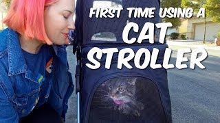 We Got A Cat Stroller!