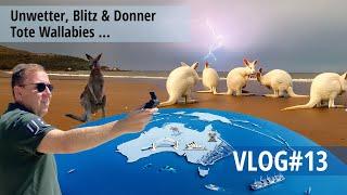 VLOG Australien #13 Tote Kängurus, Regen, Sturm, Blitz und Donner