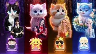 Cute Cats Dance | Wednesday Bloody Mary | Jisoo Flower | Shakira Waka Waka | Elsa Enemy | Cat Sings