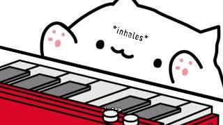 Мем котик играющий на пианино.