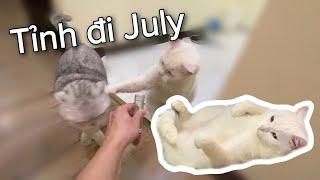 11 giờ đêm May và July “thẩm” hoa lá cành và cái kết