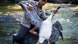 Outdoor BBQ - Preparing a Big Goose BBQ Recipe near the Water