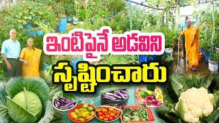 ఇంటిపైనే అడవిని సృష్టించారు| Inspirational Gardener | Eeshwaramma