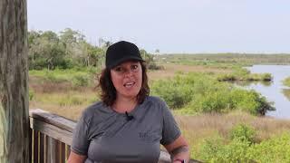 Volusia County Doris Leeper Spruce Creek Preserve