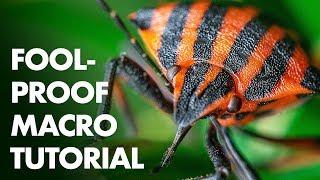 7 Foolproof Steps for a Perfect Macro Photo