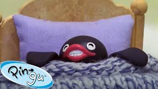 Just Playing Around! #pingu