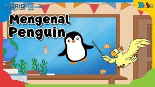 Bona Fakta Menarik - Bona and Friends - Mengenal Penguin