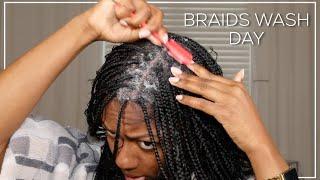 Braids Wash Day Routine | How I Keep My Scalp Clean | Niara Alexis