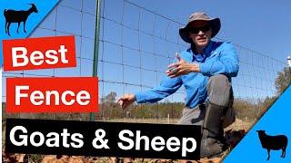 Best Fencing for Goats and Sheep