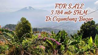 Di jual Tanah & Kebun Durian  View Gunung Caringin Bogor #tanahmurah #durian  @aldipropertybgr915