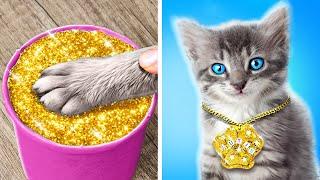 Make A Cute Kitten Necklace  Easy DIYs, Fun Gadgets & Cool Crafts For Pets