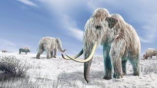 Crazy Creatures - 10 Animals We Can Bring Back From Extinction