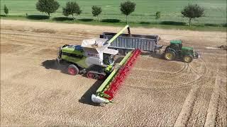 Claas Trion 660 Claas Lexion 770 Claas Lexion 8800 Ernte 2024 Rübsen & Gerste dreschen