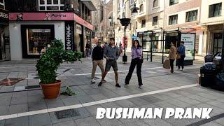 bushman prank day of scares screaming and fun // hombre arbusto dia de sustos gritos y diversión