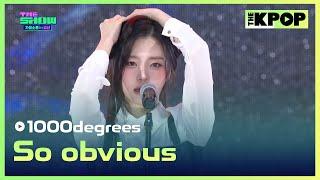 1000degrees, So obvious (1000˚(천도), 티나게) [THE SHOW 가을소풍 in 금산 241015]